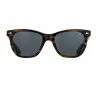 AO EYEWEAR | Saratoga I Demi Brown