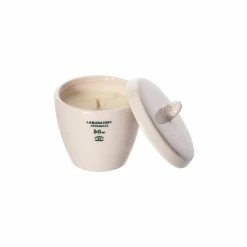 Puebco SCIENTIFIC CANDLE | DESERT FLOWER